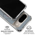 Disney Lady & The Tramp Butch Portrait Google Pixel 10 Clear Case